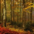 Buy People Of The North - Deep Tissue Mp3 Download