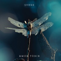 Purchase Amon Tobin - Surge (MCD)