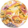 Buy Slope - Gemini (CDS) Mp3 Download