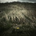 Buy North Sea And Rameses III - Night Of The Ankou Mp3 Download