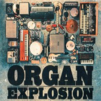Purchase Organ Explosion - Organ Explosion