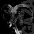 Buy Gaza - I Don't Care Where I Go When I Die Mp3 Download