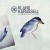Buy Klangkarussell - Netzwerk (Falls Like Rain) (CDS) Mp3 Download