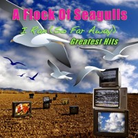 Purchase A Flock Of Seagulls - I Ran: Greatest Hits