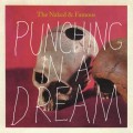 Buy The Naked And Famous - Punching In A Dream (CDS) Mp3 Download