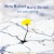 Purchase Myra Melford- Yet Can Spring (With Marty Ehrlich) MP3
