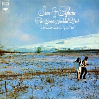Purchase Ian & Sylvia - You Were On My Mind (With Great Speckled Bird) (Vinyl)