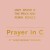 Purchase Lilly Wood & The Prick- Prayer in C (5th Anniversary Rework) (With Robin Schulz) MP3