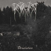 Purchase Into Decay - Desolation