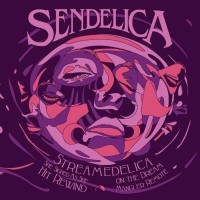 Purchase Sendelica - Streamedelica She Sighed As She Hit Rewind On The Dream Mangler Remote