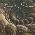 Buy Fungoid Stream - Prehuman Shapes Mp3 Download