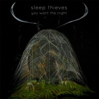 Purchase Sleep Thieves - You Want The Night