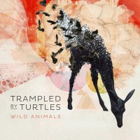 Purchase Trampled By Turtles - Wild Animals