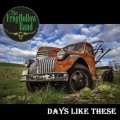 Buy The FrogHollow Band - Days Like These Mp3 Download