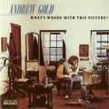 Buy Andrew Gold - What's Wrong With This Picture (Remastered 1996) Mp3 Download