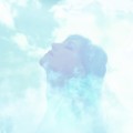Buy Noosa - Wonderland Mp3 Download