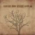 Buy Radical Face - Always Gold (EP) Mp3 Download