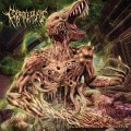 Buy Coprocephalic - Gluttonous Chunks Mp3 Download