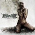 Buy Ingested - The Surreption Mp3 Download