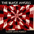 Buy The Black Angels - Clear Lake Forest Mp3 Download