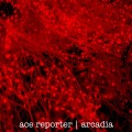 Buy Ace Reporter - Arcadia (EP) Mp3 Download