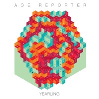 Purchase Ace Reporter - Yearling