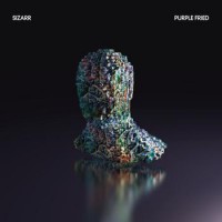 Purchase Sizarr - Purple Fried Remix (EP)