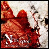 Purchase Nociceptor - Sum Of All Scars