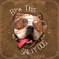 Purchase Salty Dog - Bite This