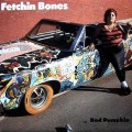 Buy Fetchin Bones - Bad Pumpkin Mp3 Download
