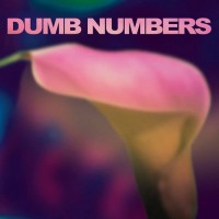Purchase Dumb Numbers - Dumb Numbers