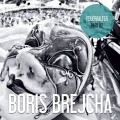 Buy Boris Brejcha - Feuerfalter Part 02 Mp3 Download