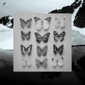 Buy Christian Löffler - Young Alaska Mp3 Download