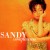 Buy Sandy Lam - Love Returns Mp3 Download