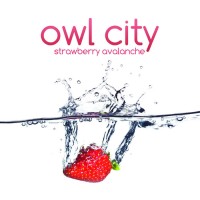 Purchase Owl City - Strawberry Avalanche (CDS)