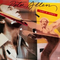 Purchase Peter Allen - Taught By Experts (Vinyl)
