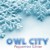 Buy Owl City - Peppermint Winter (CDS) Mp3 Download