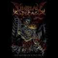 Buy Display Of Decay - Outbreak Of Infection Mp3 Download