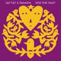 Buy Jad Fair & Danielson - Solid Gold Heart Mp3 Download