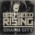 Buy Bad Seed Rising - Charm City Mp3 Download