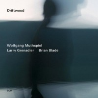 Purchase wolfgang muthspiel - Driftwood (With Larry Grenadier & Brian Blade)