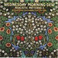 Buy VA - Wednesday Morning Dew: Realistic Patterns 2 Mp3 Download