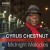 Buy Cyrus Chestnut - Midnight Melodies Mp3 Download