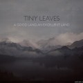 Buy Tiny Leaves - A Good Land, An Excellent Land Mp3 Download
