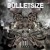 Buy Bulletsize - Numb Mp3 Download