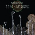 Buy Kikagaku Moyo - Forest Of Lost Children Mp3 Download
