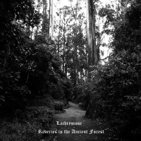 Purchase Lachrymose - Reveries In The Ancient Forest (EP)