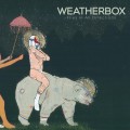 Buy Weatherbox - Flies In All Directions Mp3 Download