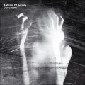 Buy A Victim Of Society - Distractions Mp3 Download
