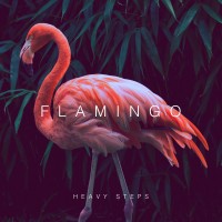 Purchase Flamingo - Heavy Steps (EP)